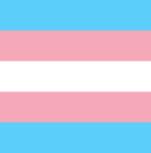 Transgender flag 90 x 150 cm